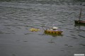 Köln_03_Juni_2012_01