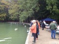 Lichterfahrt_Koeln_01