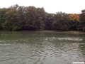 Lichterfahrt_Koeln_03