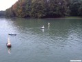 Lichterfahrt_Koeln_06