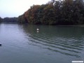 Lichterfahrt_Koeln_08