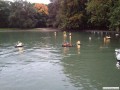 Lichterfahrt_Koeln_09