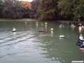 Lichterfahrt_Koeln_10