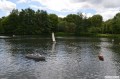 mg_23