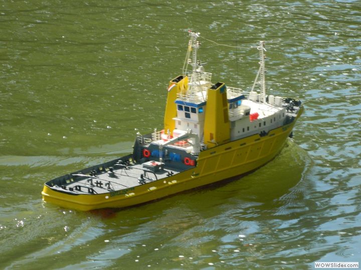 msc-dn_18