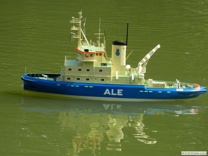 msc-dn_29