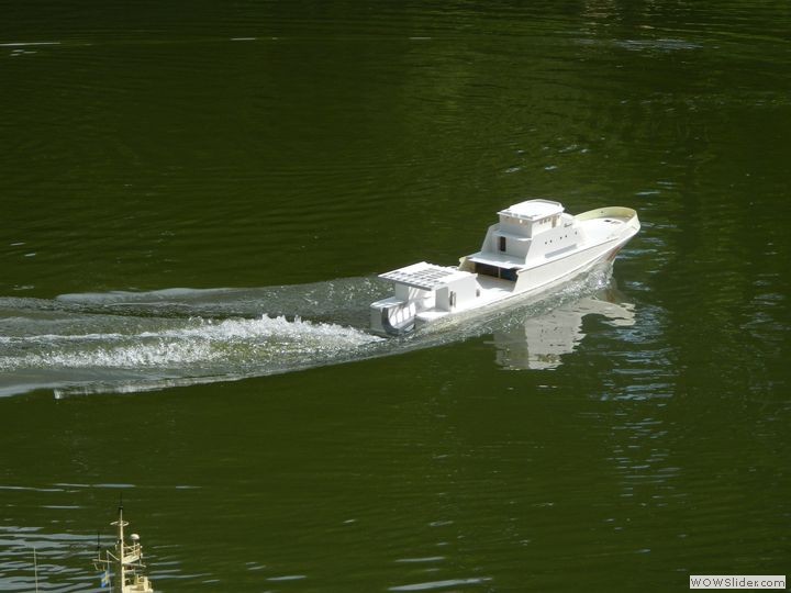 msc-dn_37