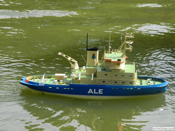 msc-dn_40
