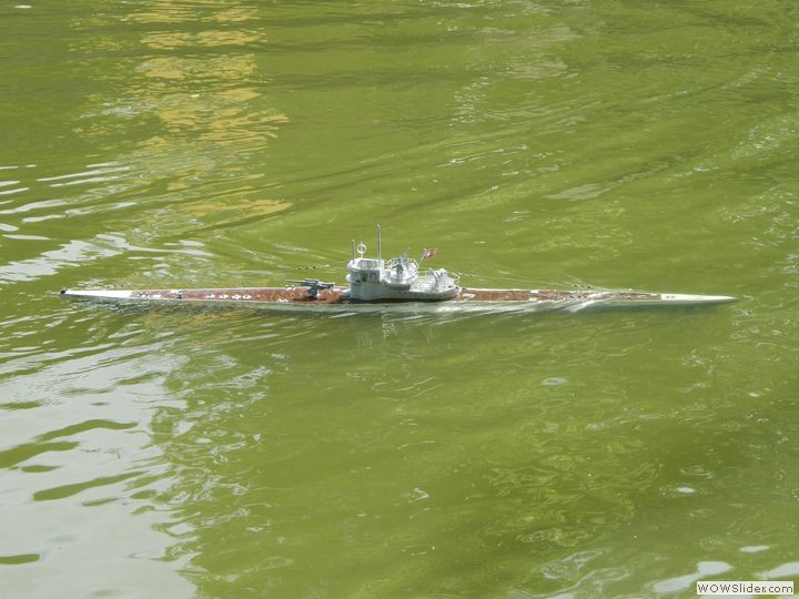msc-dn_47