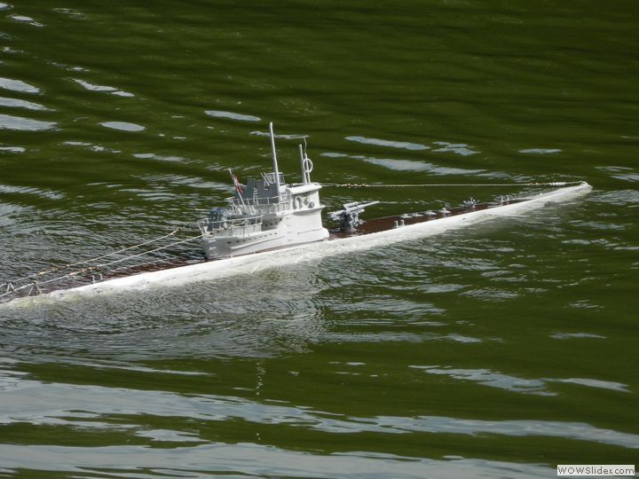 msc-dn_50