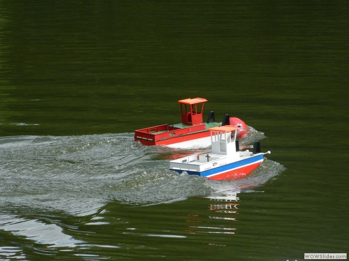 msc-dn_55