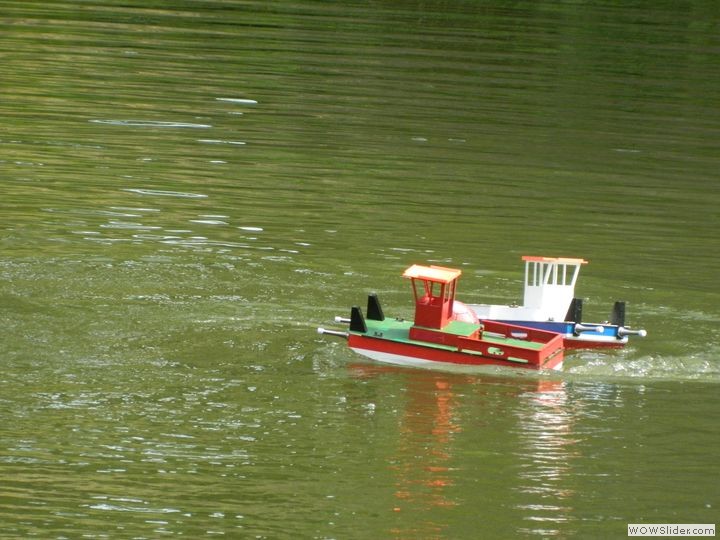 msc-dn_57