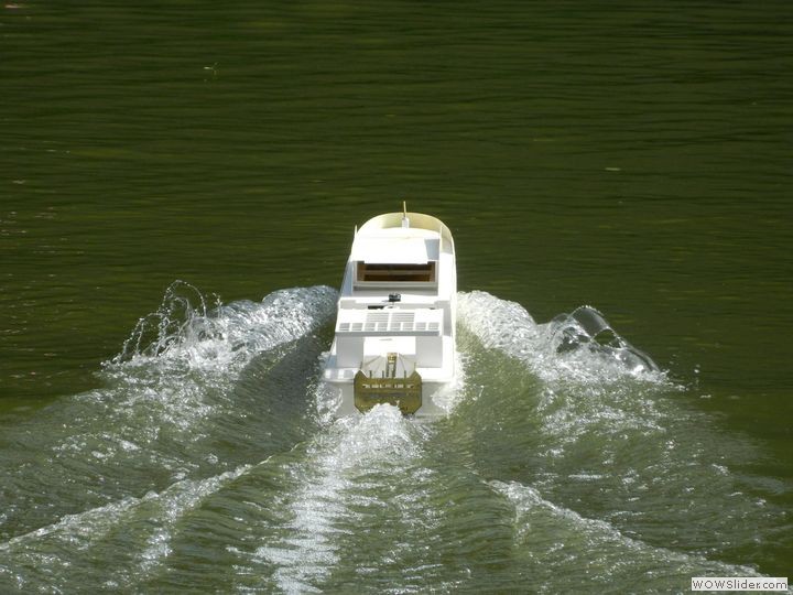 msc-dn_59