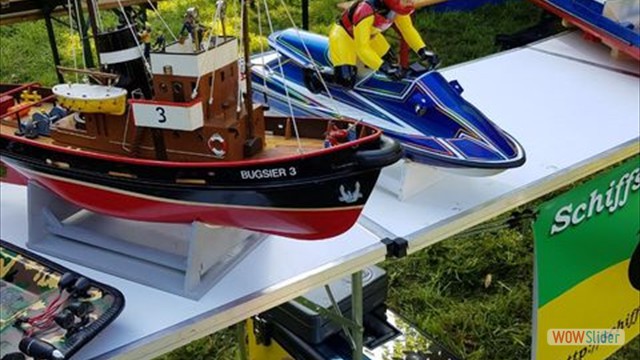 MSC-DN24