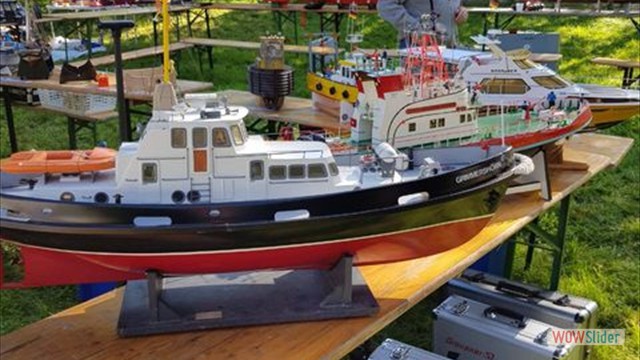 MSC-DN29