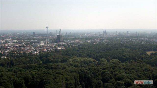 koeln
