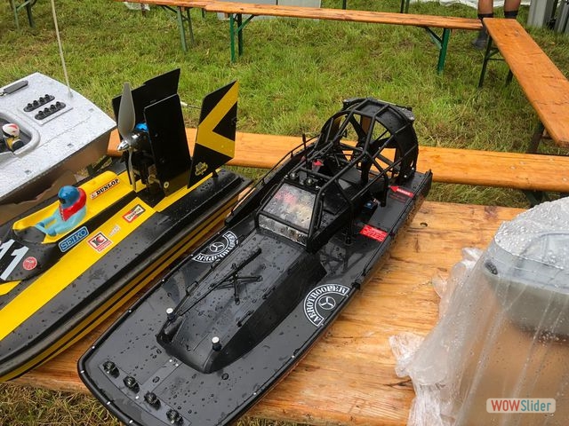 MSC-DN_42