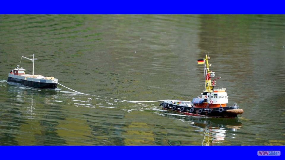 MSC-DN_04