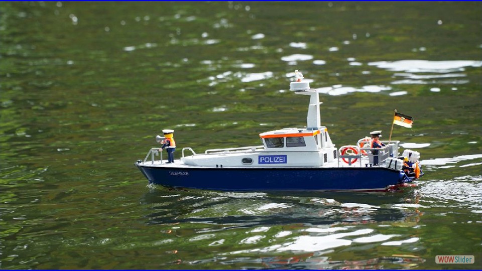 MSC-DN_18