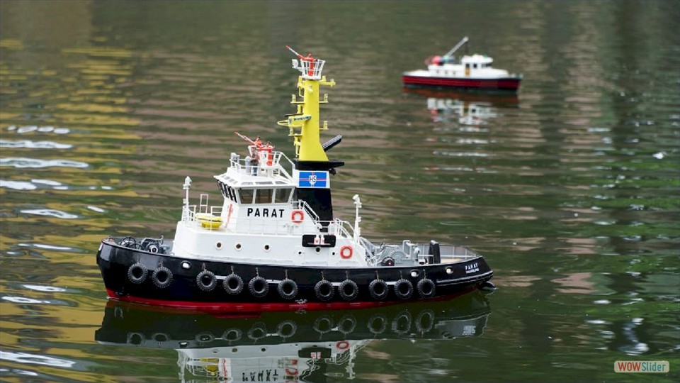 MSC-DN_20