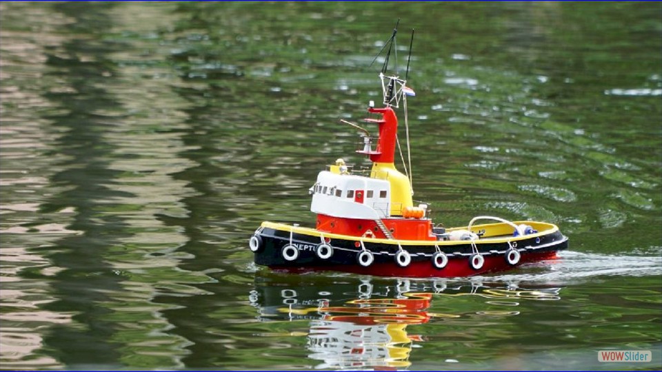 MSC-DN_24