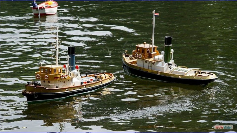 MSC-DN_60