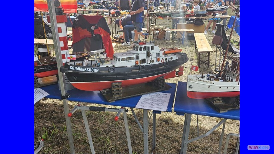 MSC-DN_65